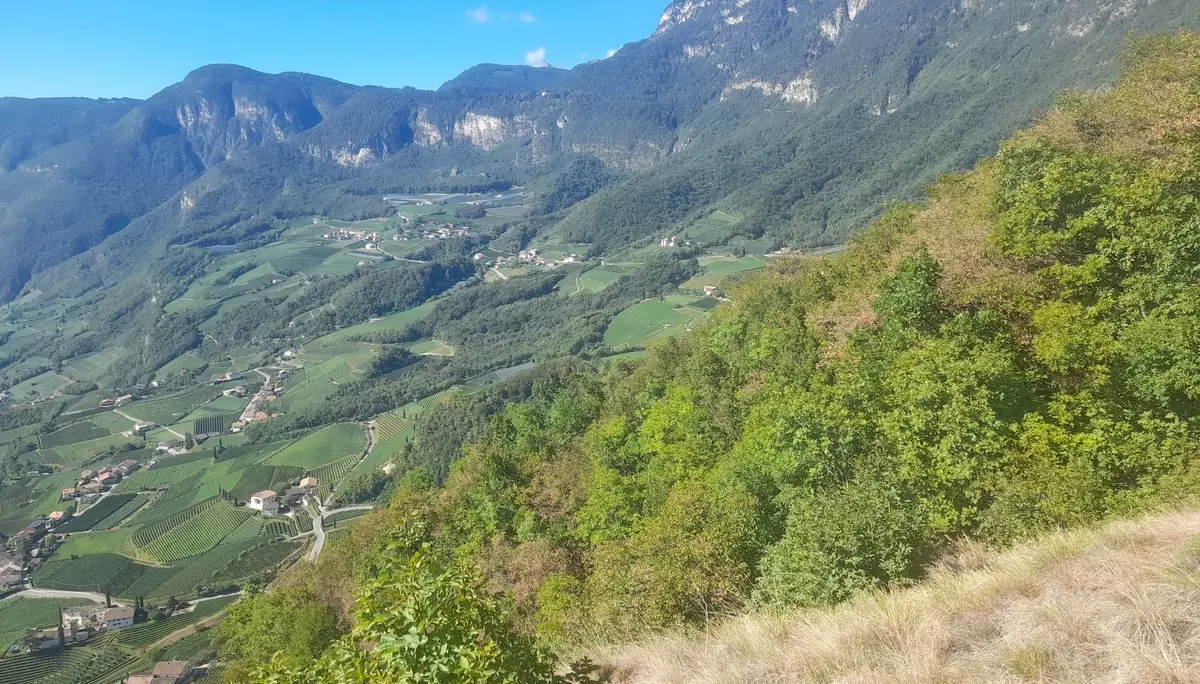 Blick auf die Fraktionen von Kurtatsch | © Matthias Bischoff.jpg