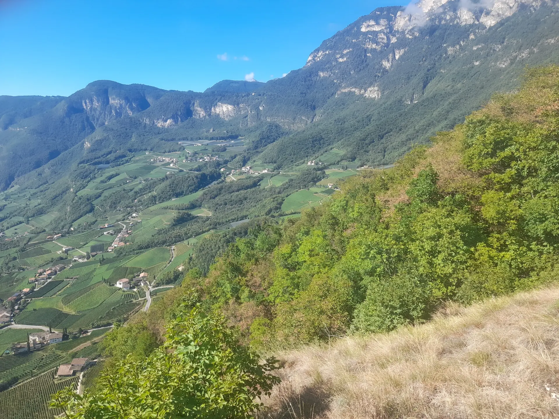 Blick auf die Fraktionen von Kurtatsch | © Matthias Bischoff.jpg