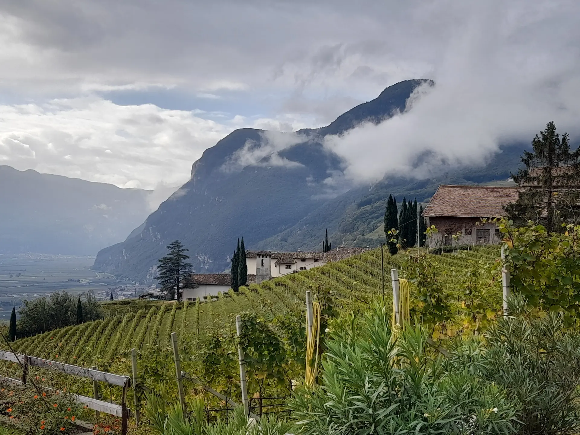 Im Weinberg bei Kurtatsch | © Matthias Bischoff