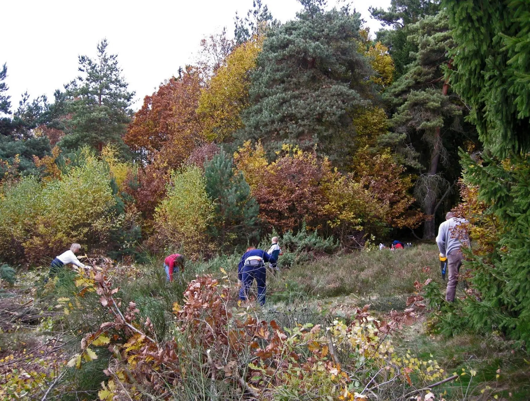 Arbeitskreis Klettern und Naturschutz Hochtaunus Bodenpflege an den Eschbacher Klippen | © DAV Sektion Frankfurt am Main des Deutschen Alpenvereins