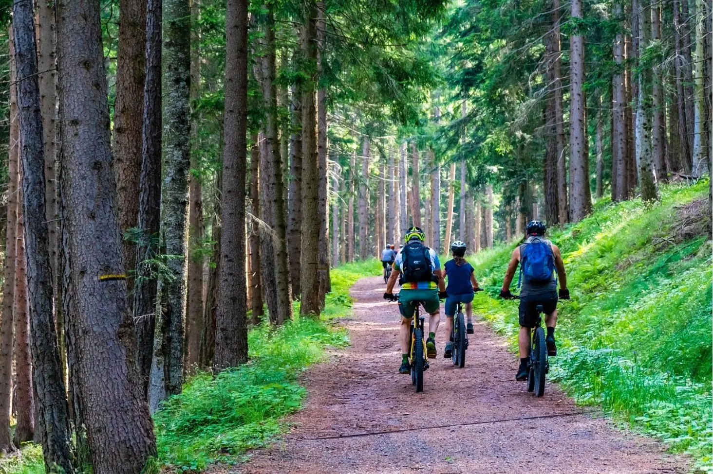MTB 2 | © MaBraS