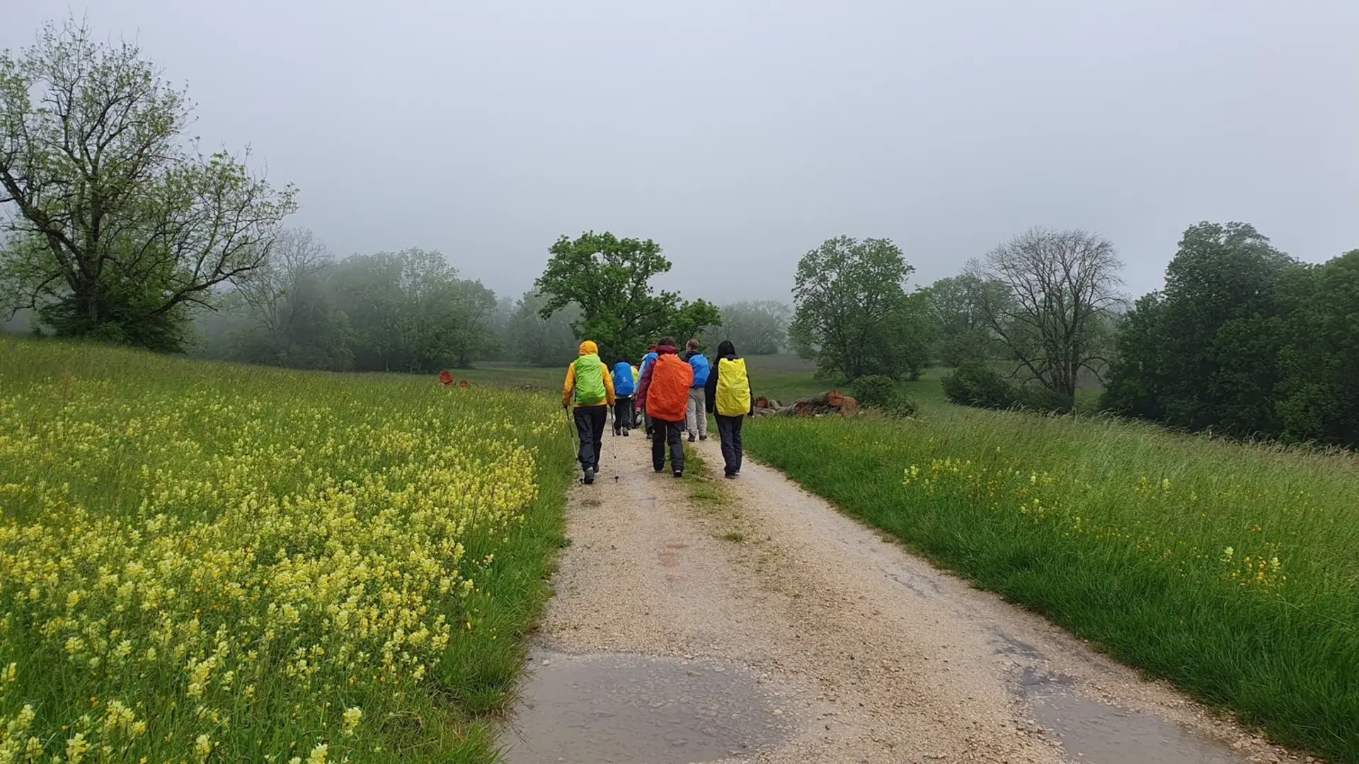Albsteigtour | © Trekkinggruppe