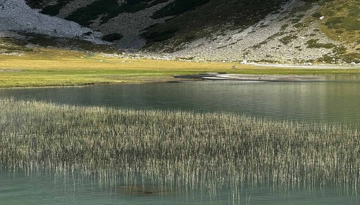 Wer Ruhe in wunderschöner Natur sucht, ist am Riffelsee in unmittelbarer Nähe der Riffelseehütte richtig. | © Helmut Schgeiner