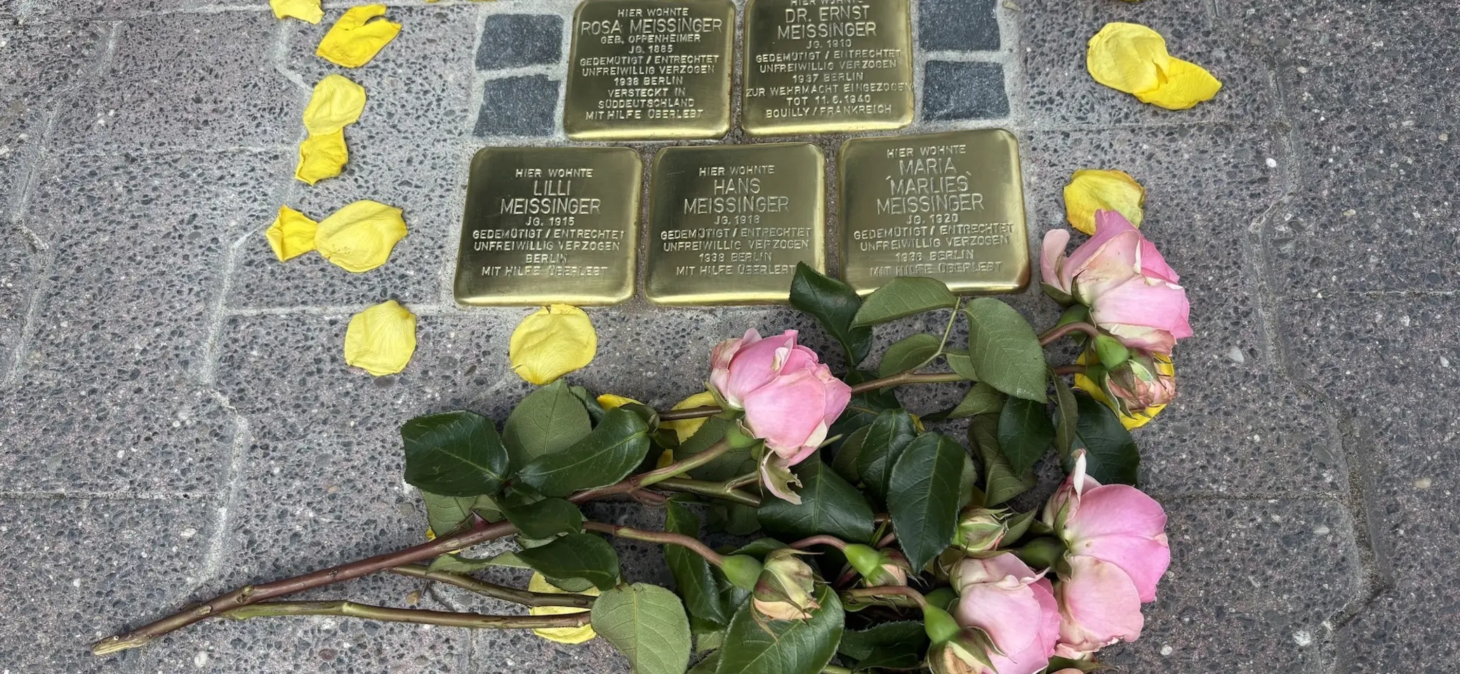 Stolpersteine in Frankfurt am Main verlegt. | © Frank Schumann