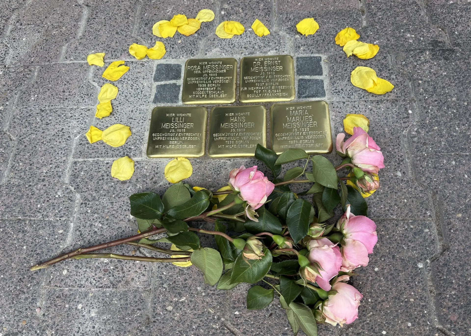 Stolpersteine in Frankfurt am Main verlegt. | © Frank Schumann