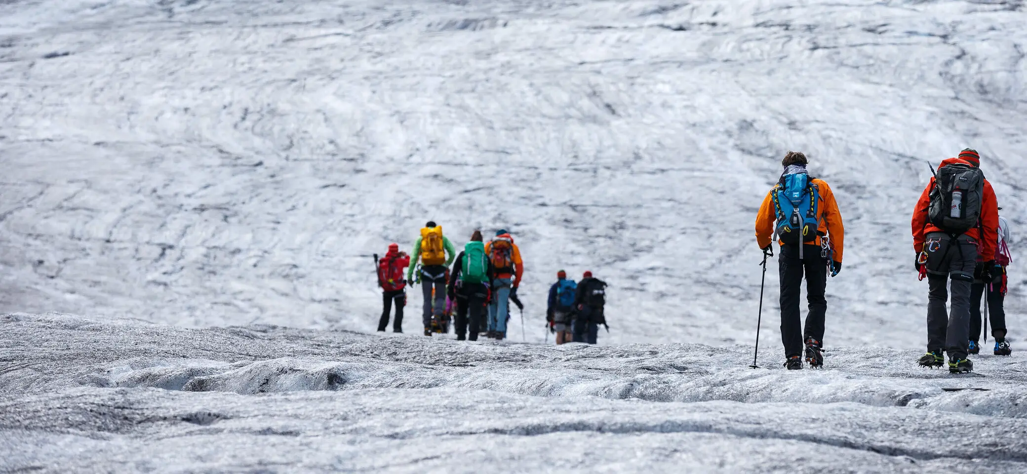 Eine Hochtourengruppe wandert über das Eisfeld über den Gepatschferner zur Rauhekopfhütte. | © DAV/Marco Kost