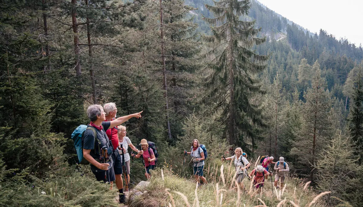 Seniorenwandergruppe in den Bergen | © DAV / Marisa Koch